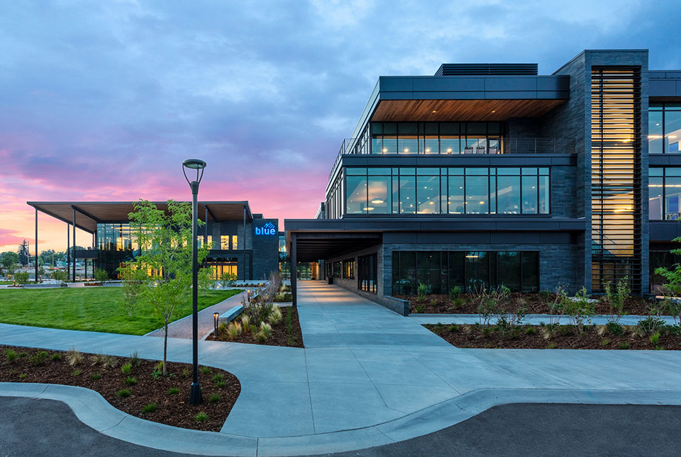 Graphite Largescale Stone Veneer Blue Federal Building